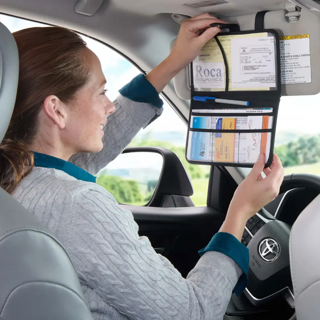 Visor Registration Organizer